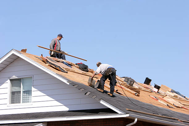 Best Metal Roofing Installation  in Hollister, CA